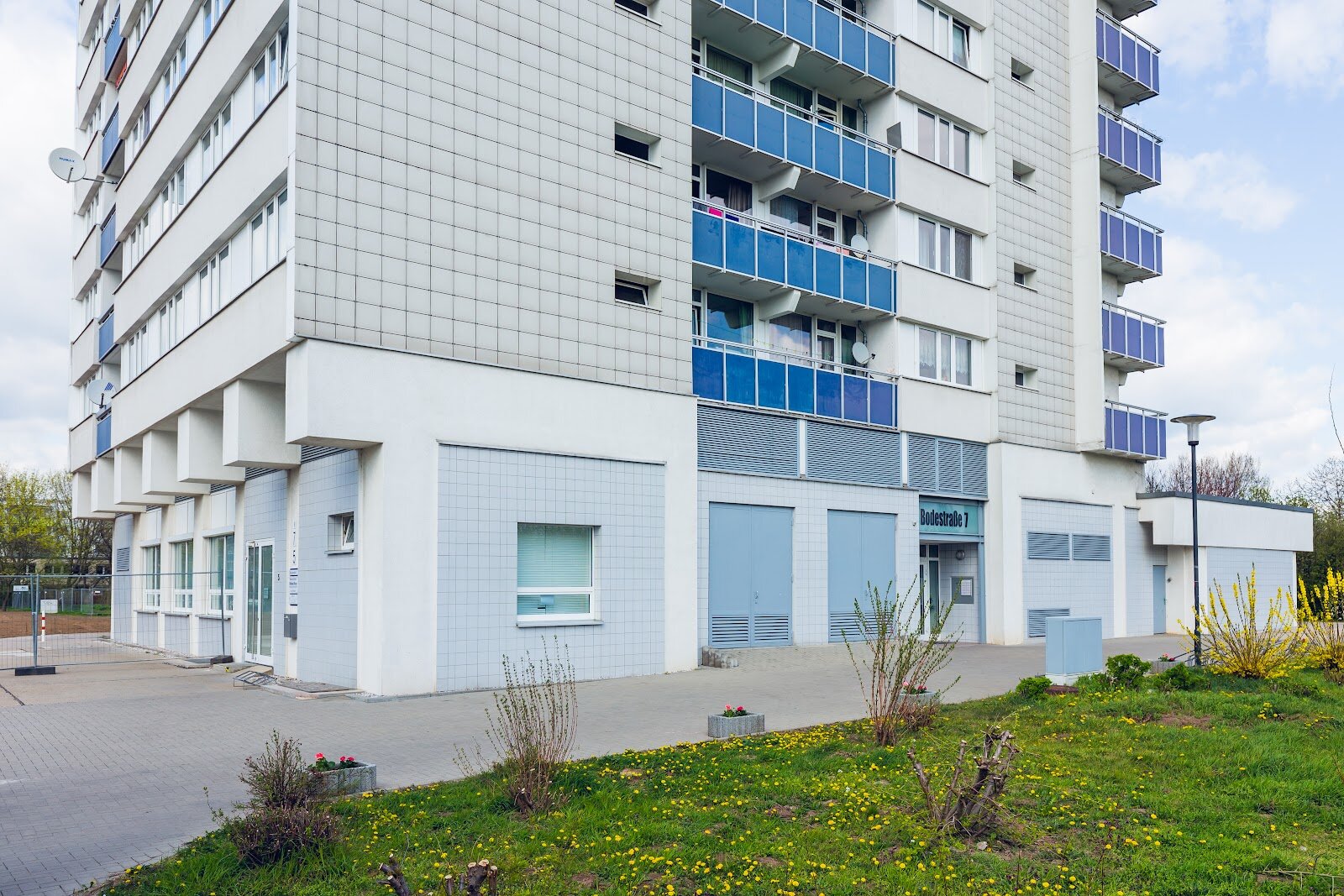 Bodestraße 7, 06122 Halle (Saale)