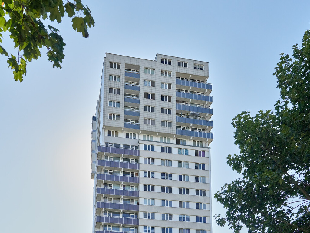 Bodestraße 7, 06122 Halle (Saale)