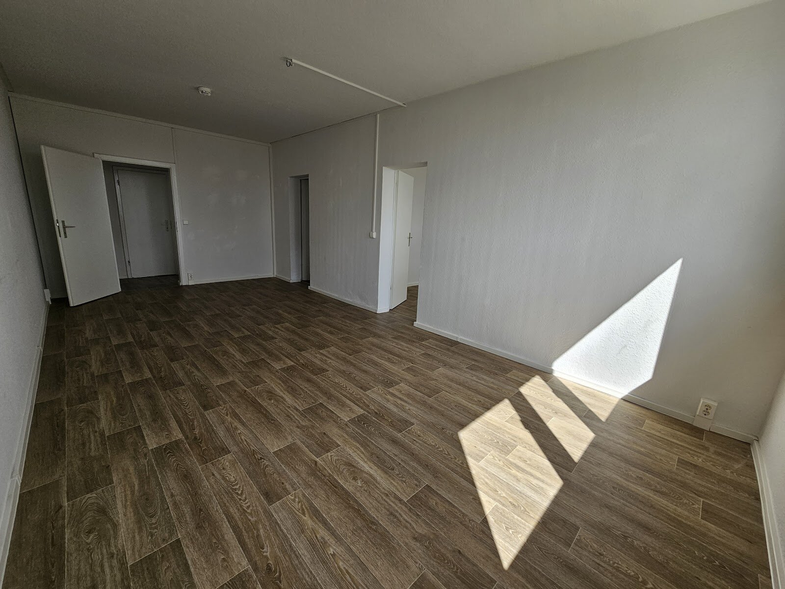 Bodestraße 7, 06122 Halle (Saale)
