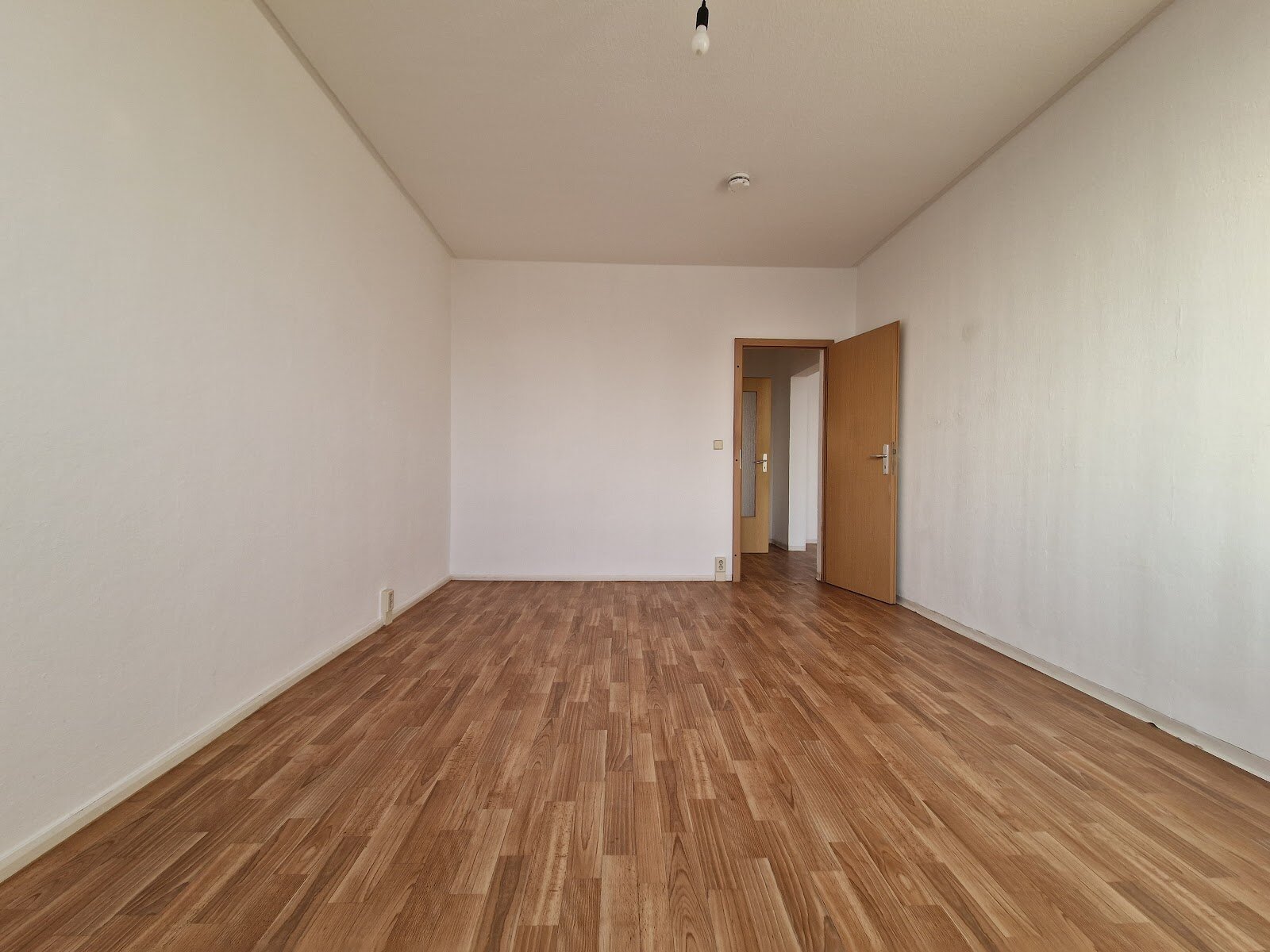 Bodestraße 7, 06122 Halle (Saale)