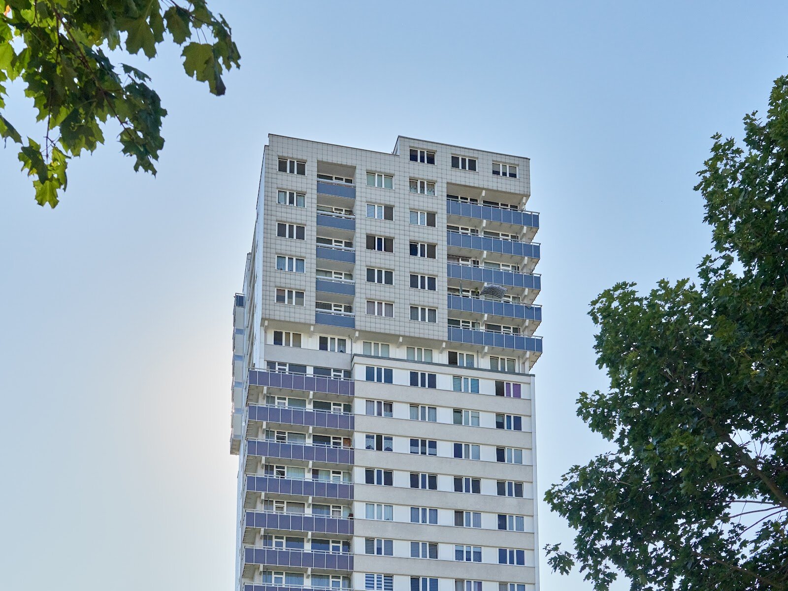 Bodestraße 7, 06122 Halle (Saale)