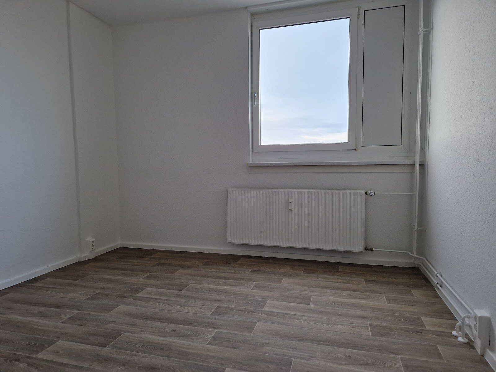 Bodestraße 7, 06122 Halle (Saale)