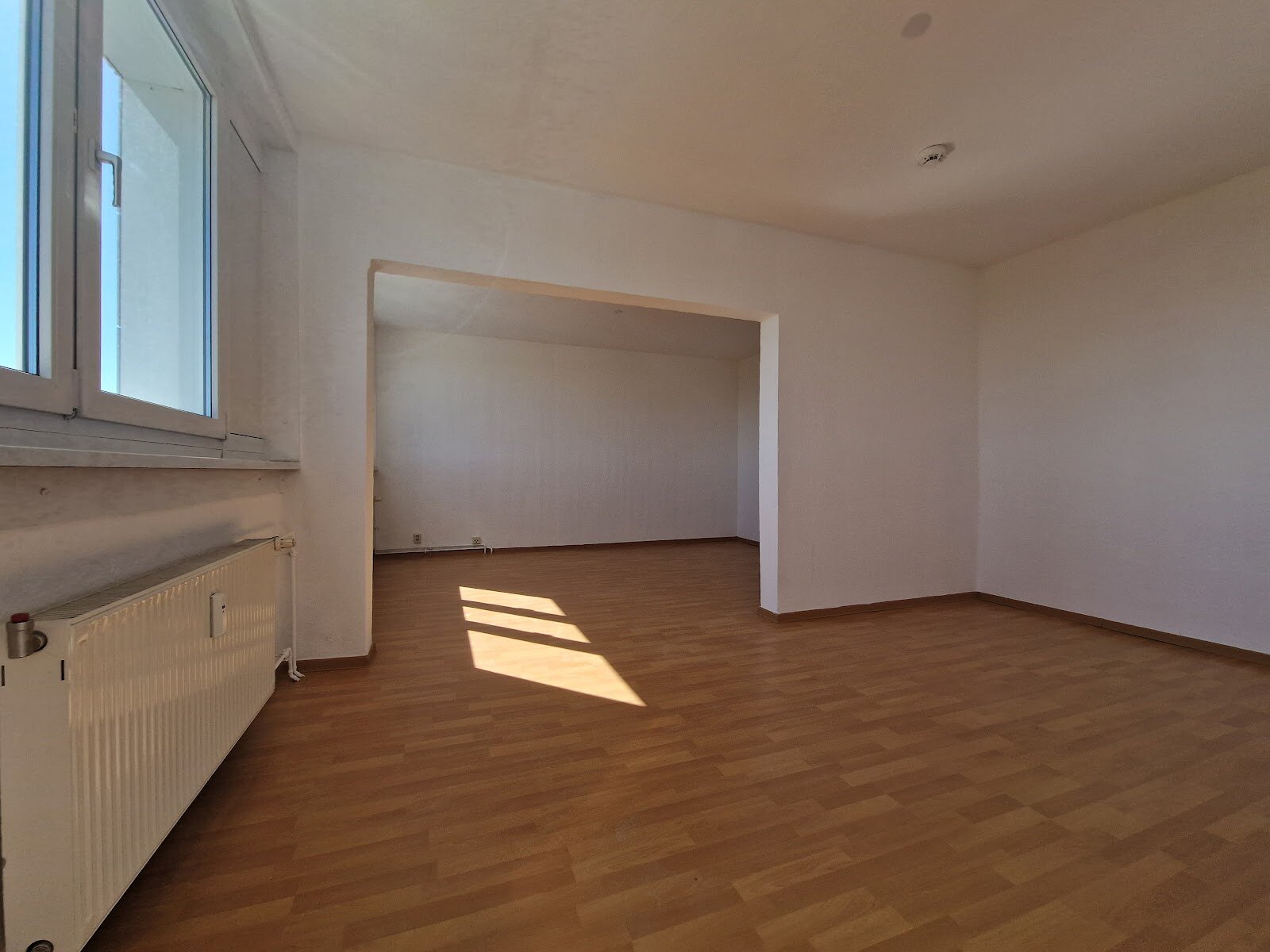 Bodestraße 7, 06122 Halle (Saale)