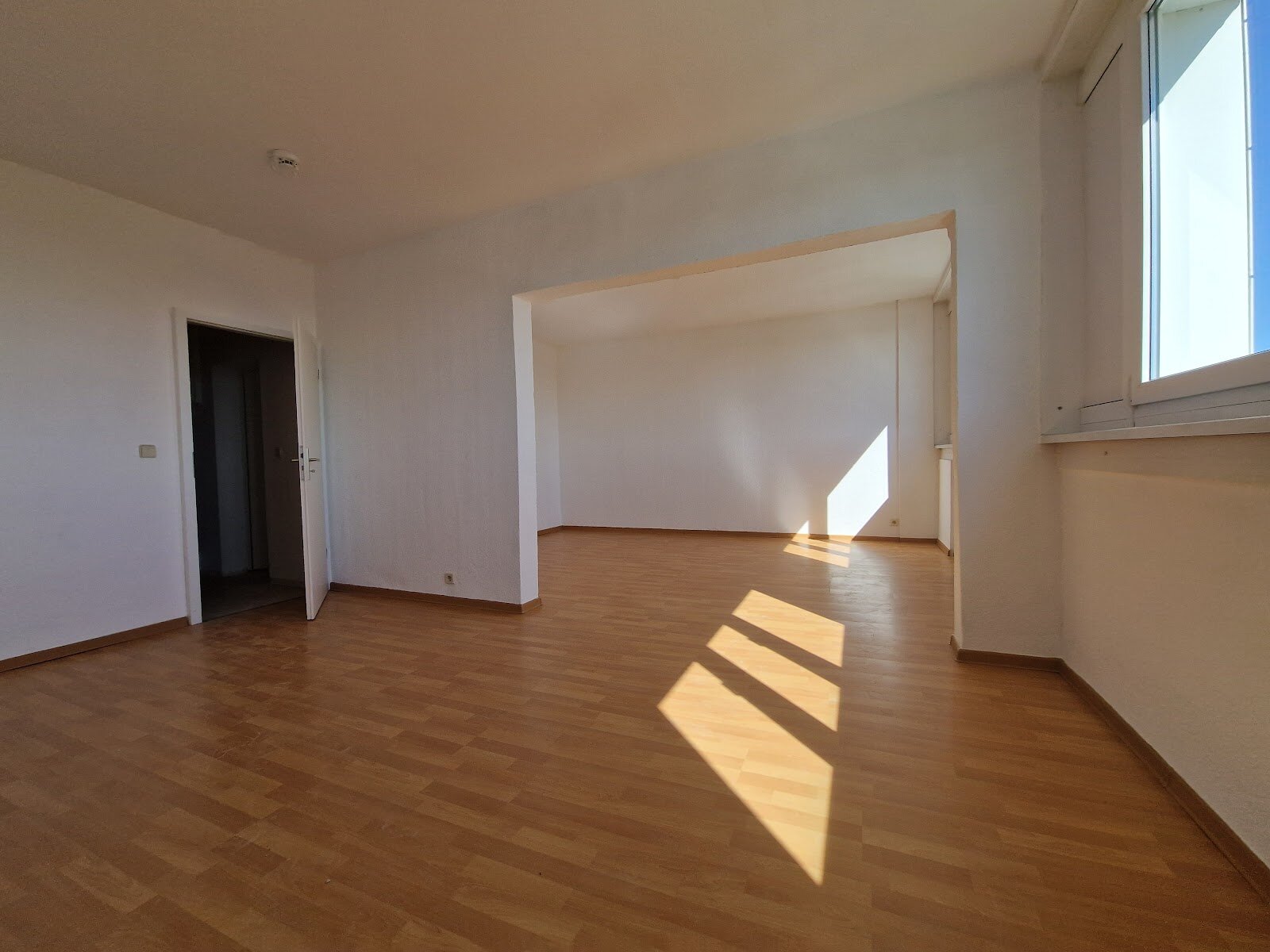 Bodestraße 7, 06122 Halle (Saale)