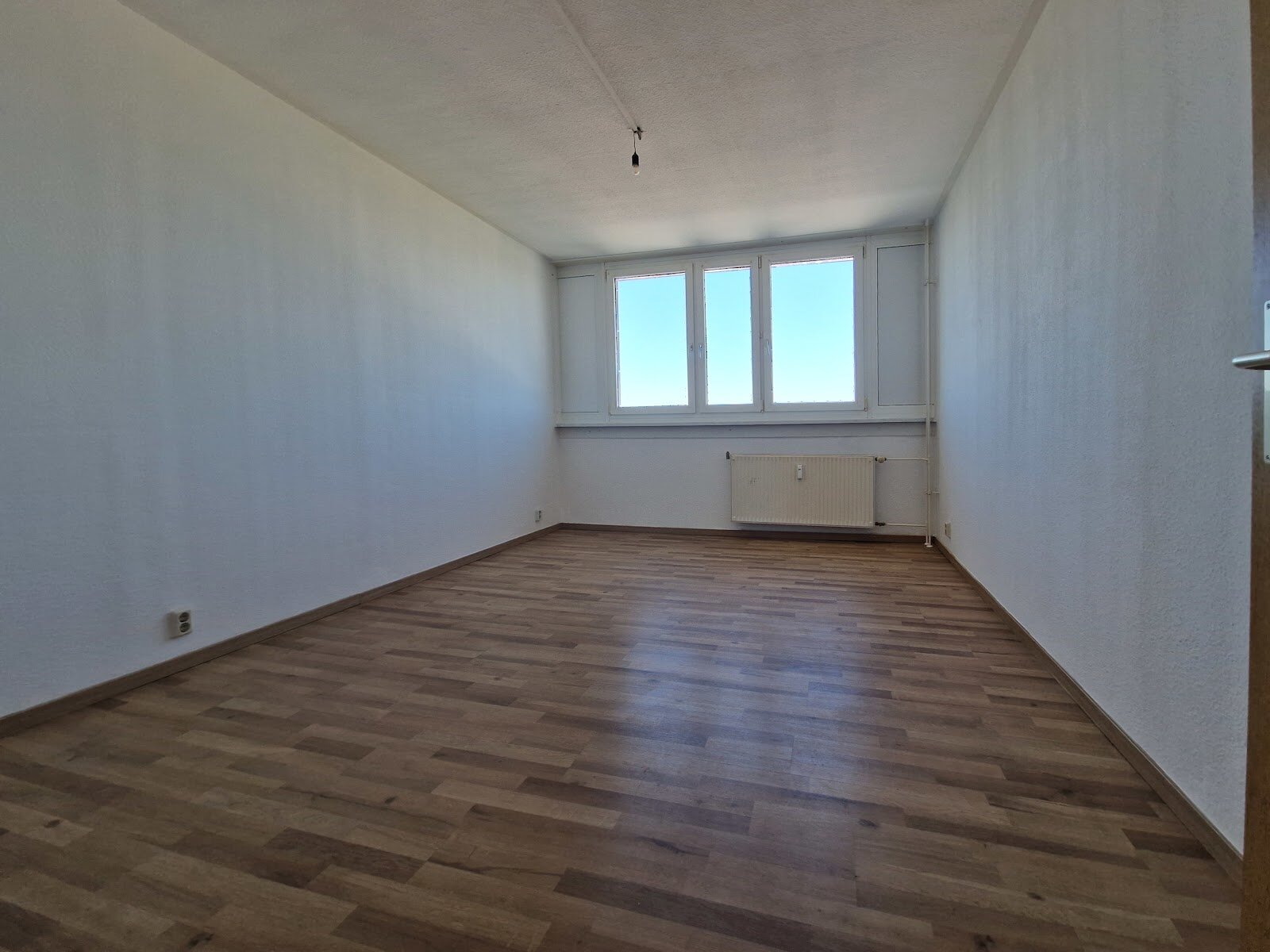 Bodestraße 7, 06122 Halle (Saale)