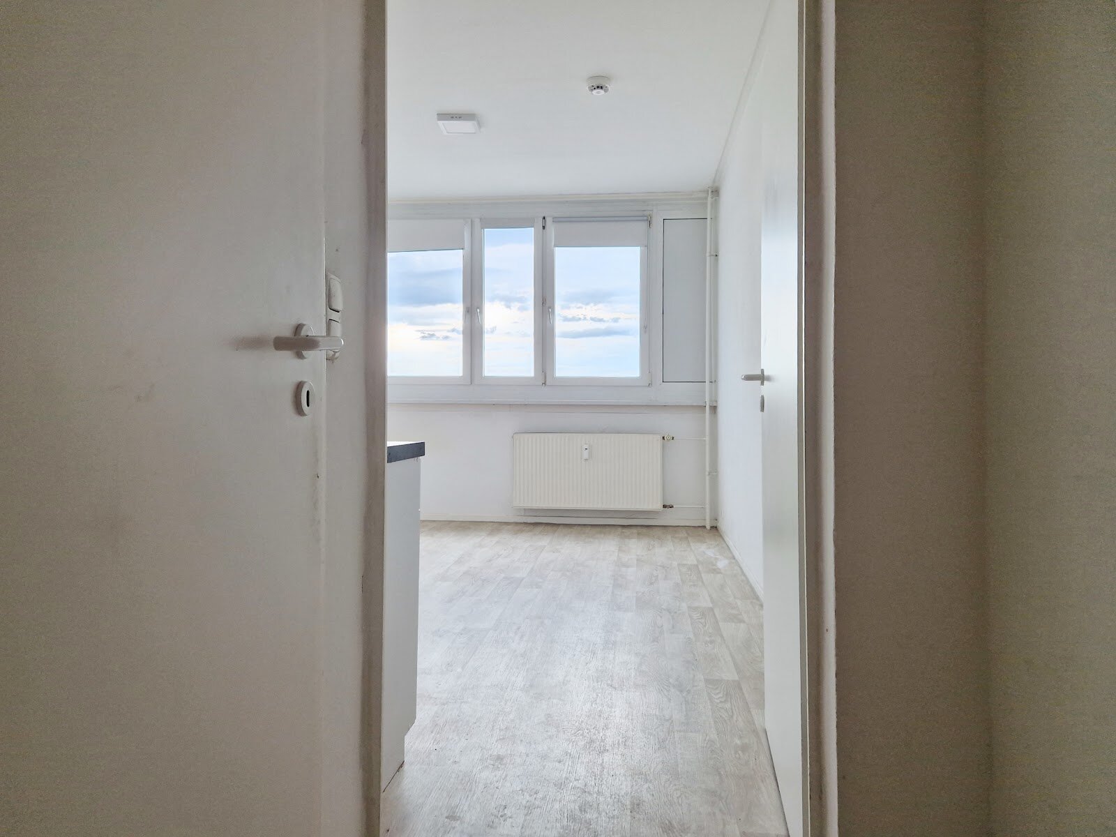 Bodestraße 7, 06122 Halle (Saale)