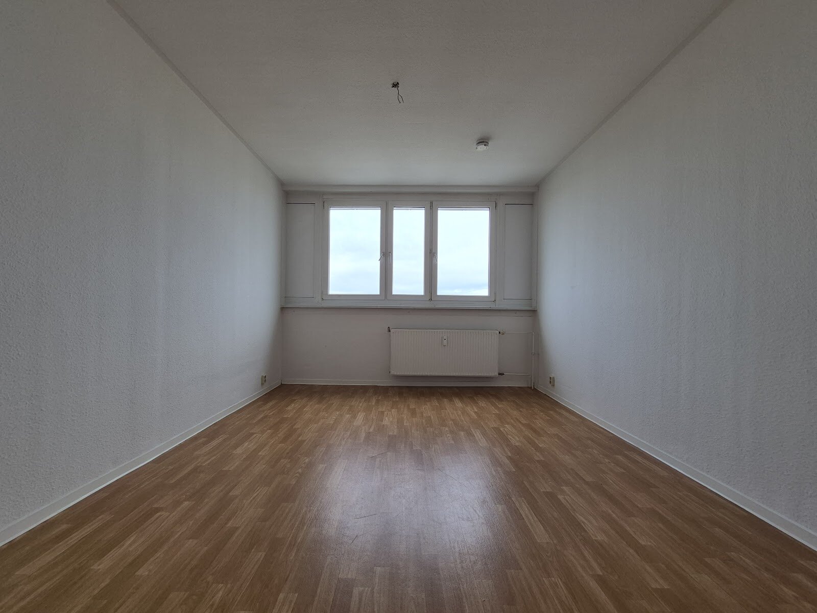 Bodestraße 7, 06122 Halle (Saale)
