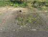 Neue Vogelsdorfer Straße 2-40, 15562 Rüdersdorf bei Berlin