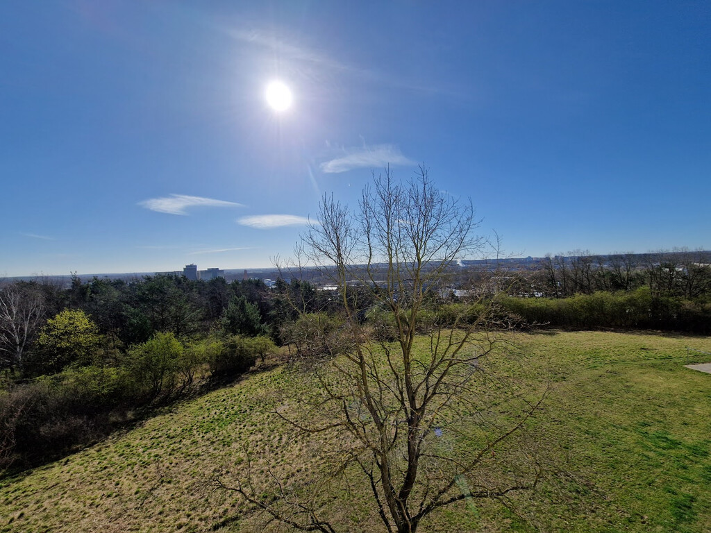 Alfred-Haude-Straße 19, 17034 Neubrandenburg