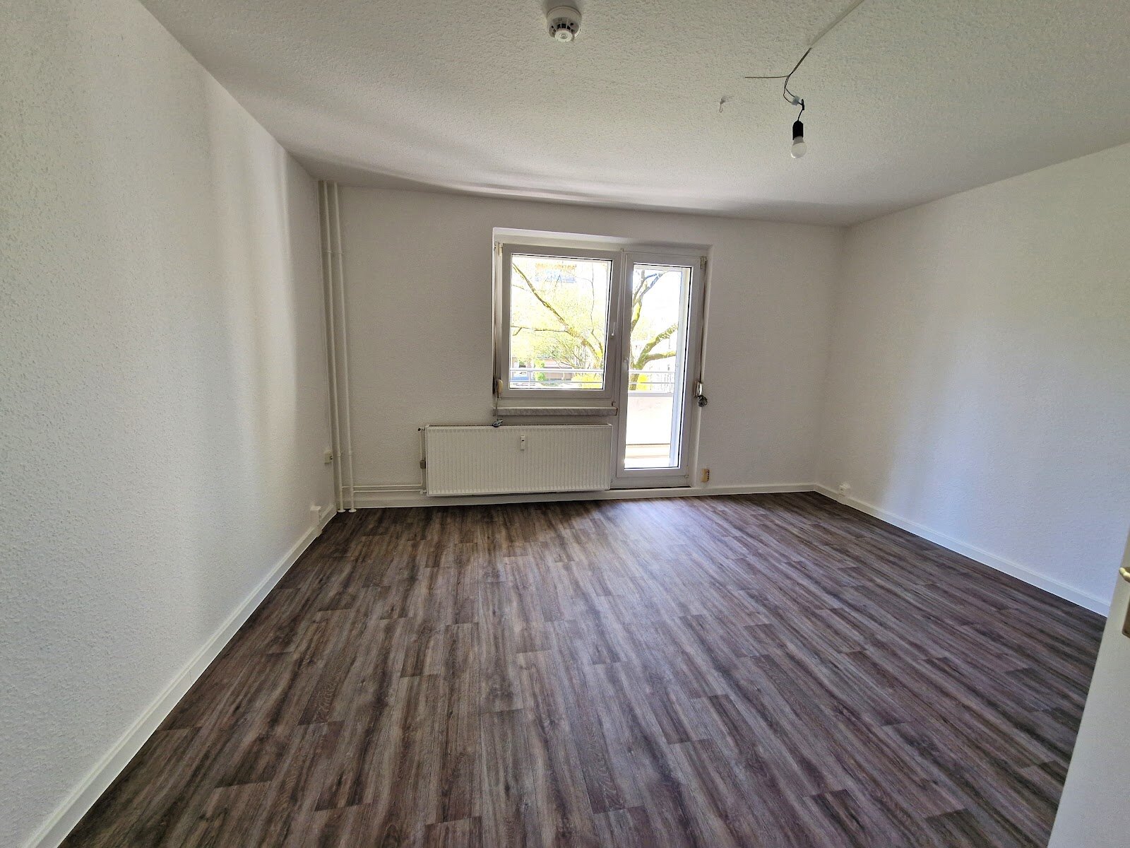 Tollensestraße 6, 12619 Berlin