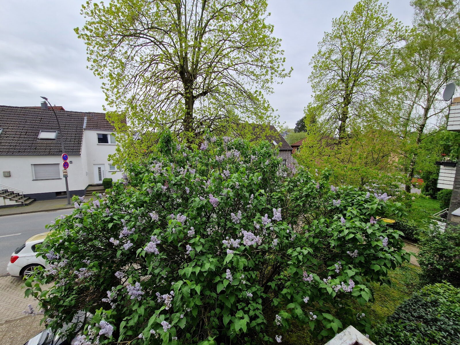 Dortmunder Straße 411, 44577 Castrop-Rauxel