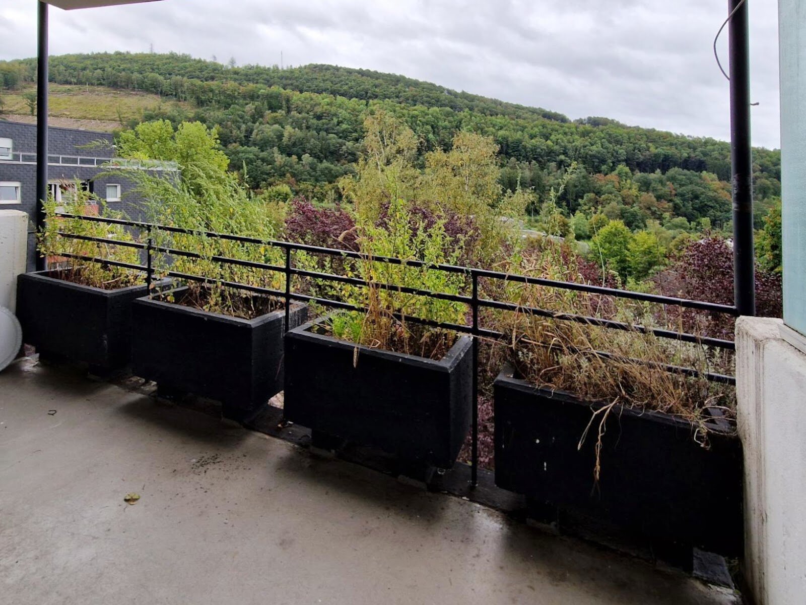 Broicher Weg 2, 51766 Engelskirchen