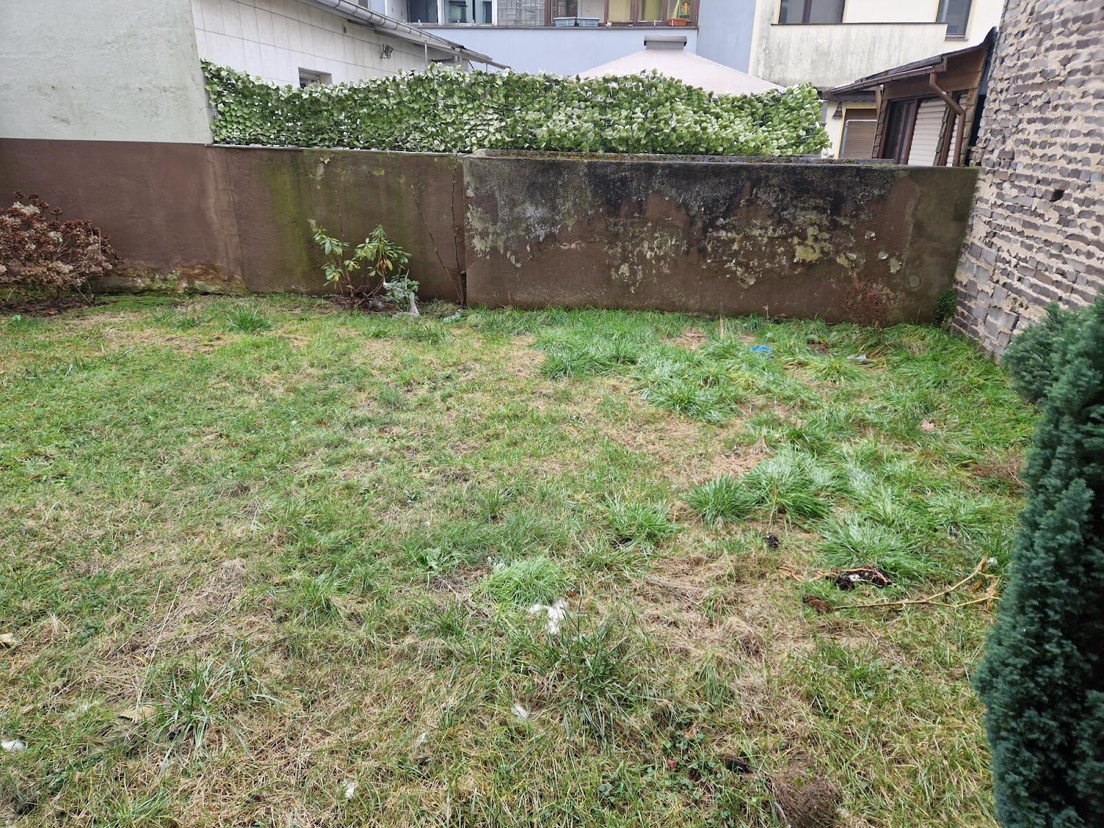 Schleiermacherstraße 21, 47139 Duisburg