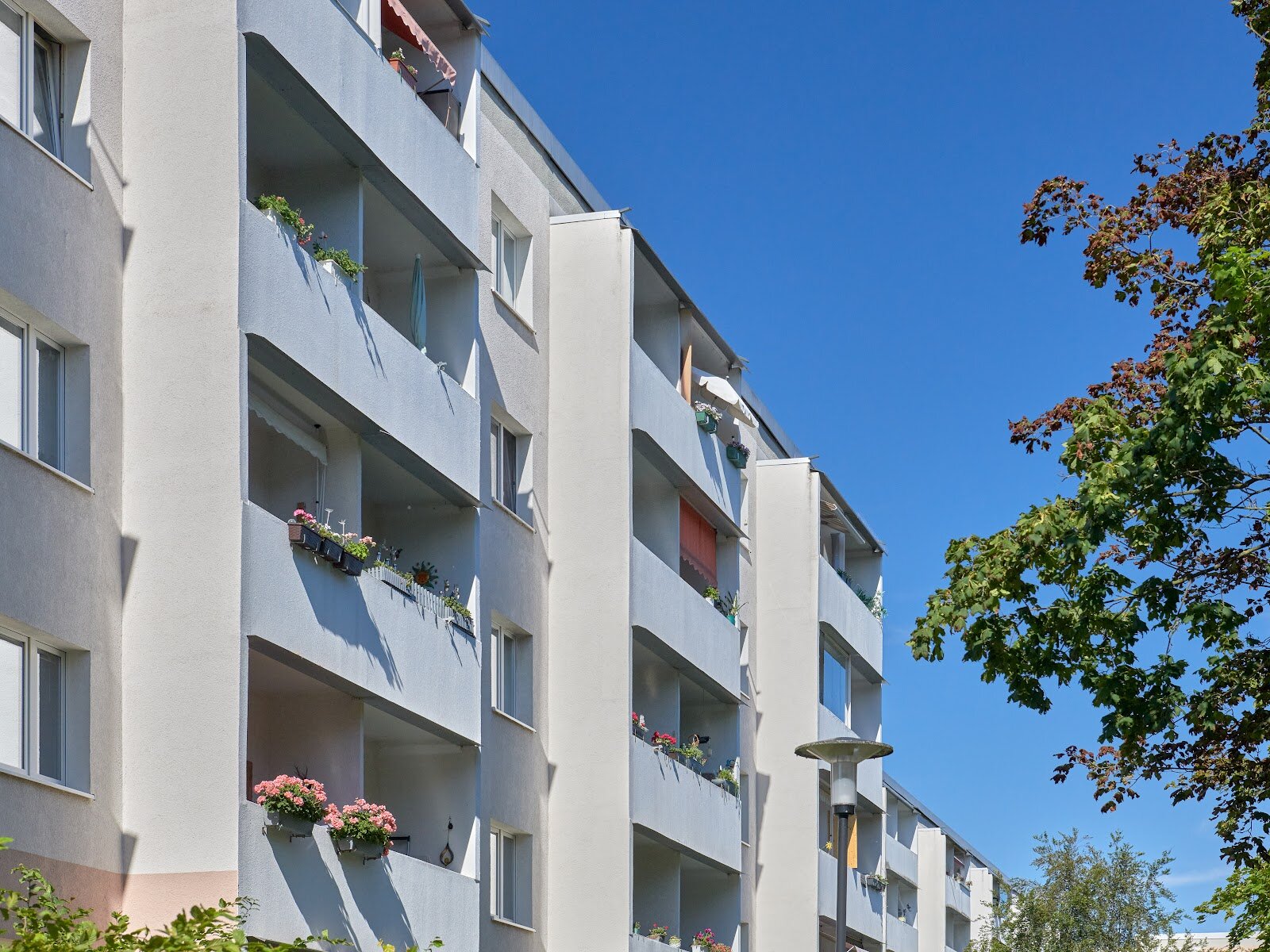Fohlenweg 1, 06124 Halle (Saale)