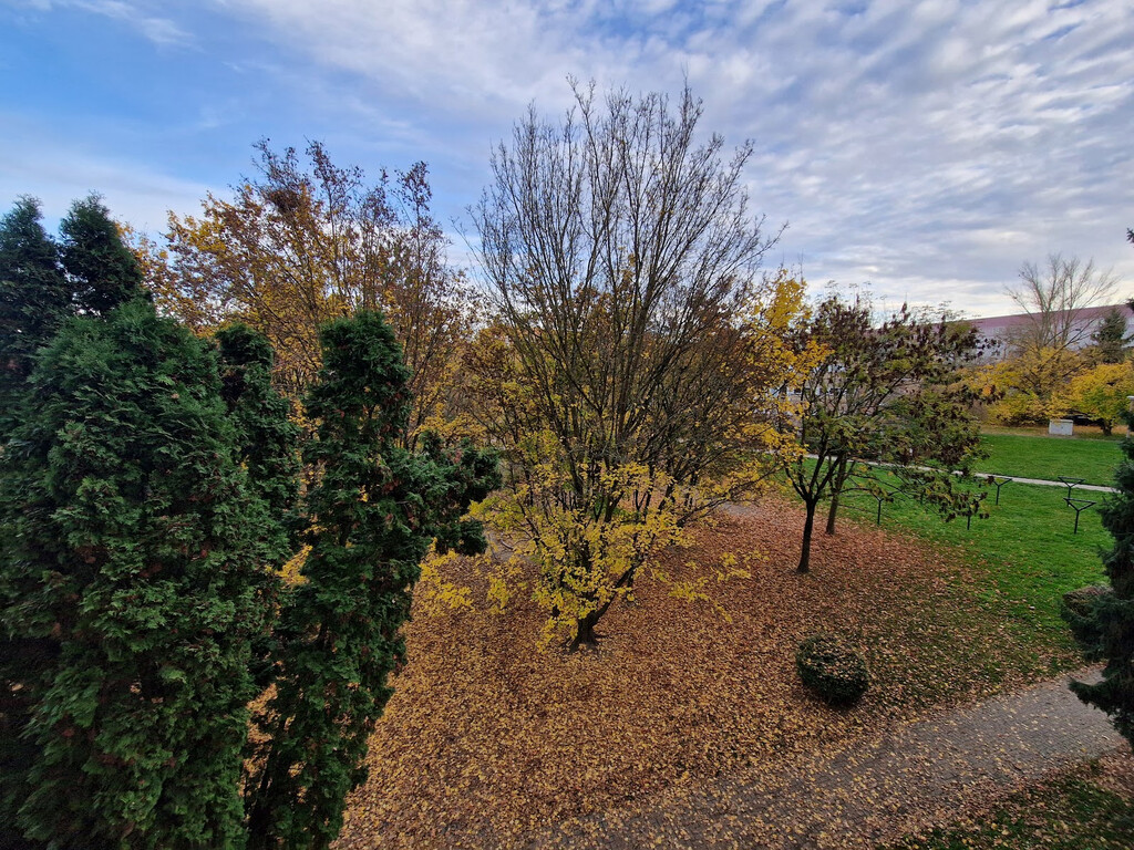 Plovdiver Straße 20, 04205 Leipzig