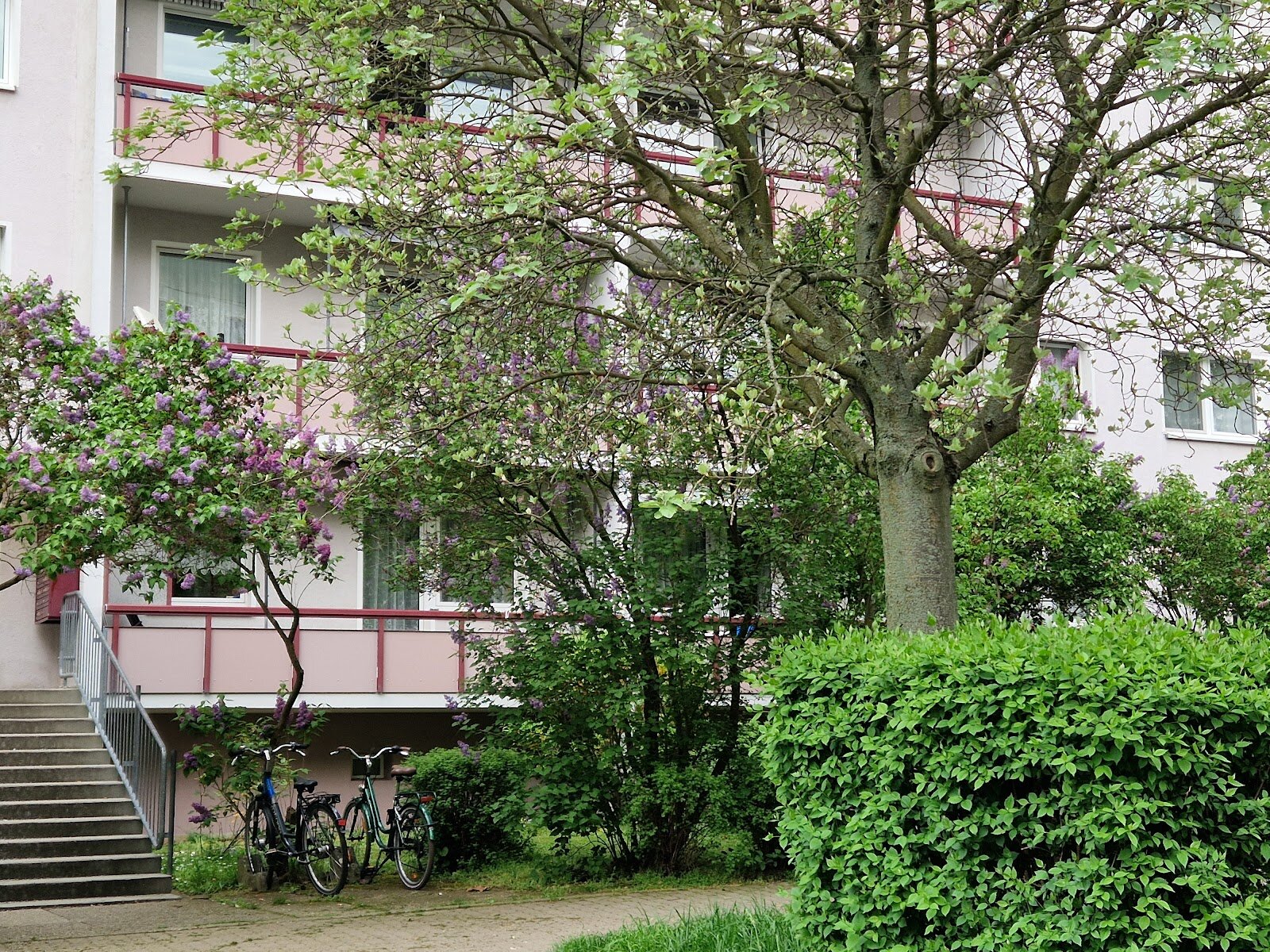 Andromedaweg 24, 04205 Leipzig