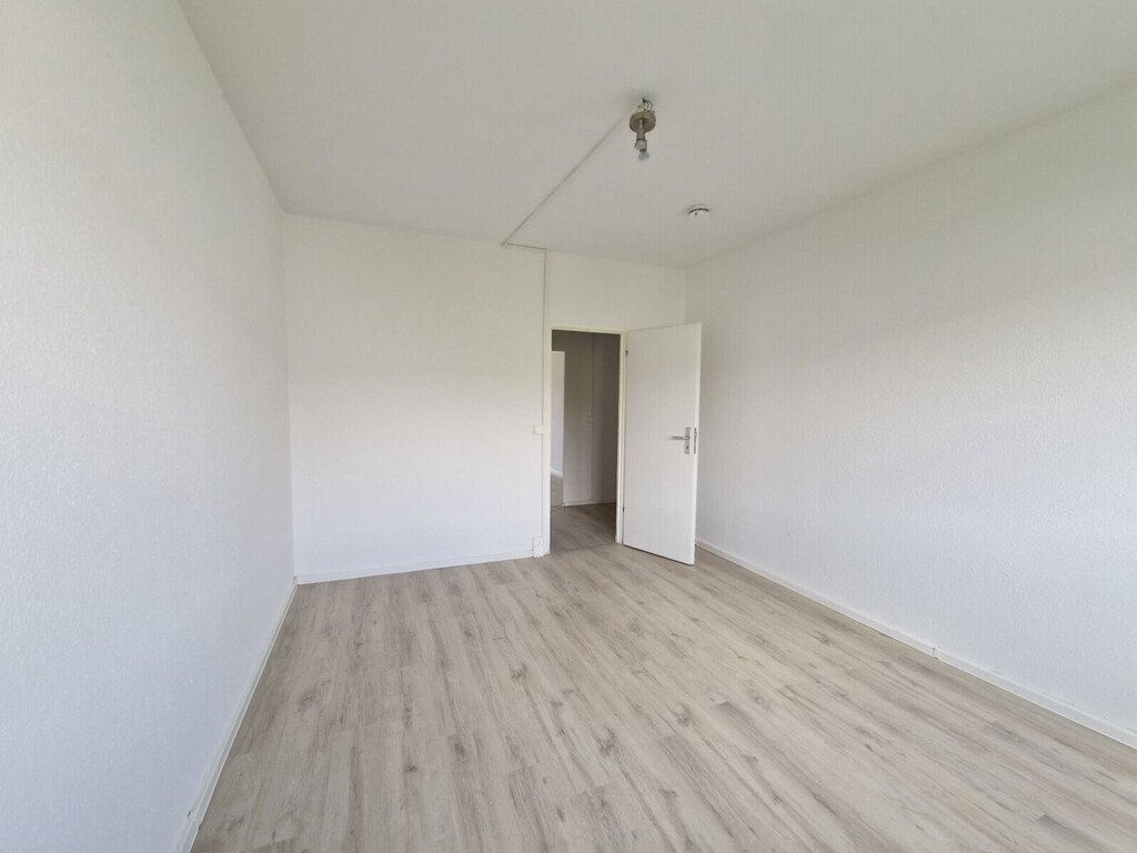 Jupiterstraße 19, 04205 Leipzig
