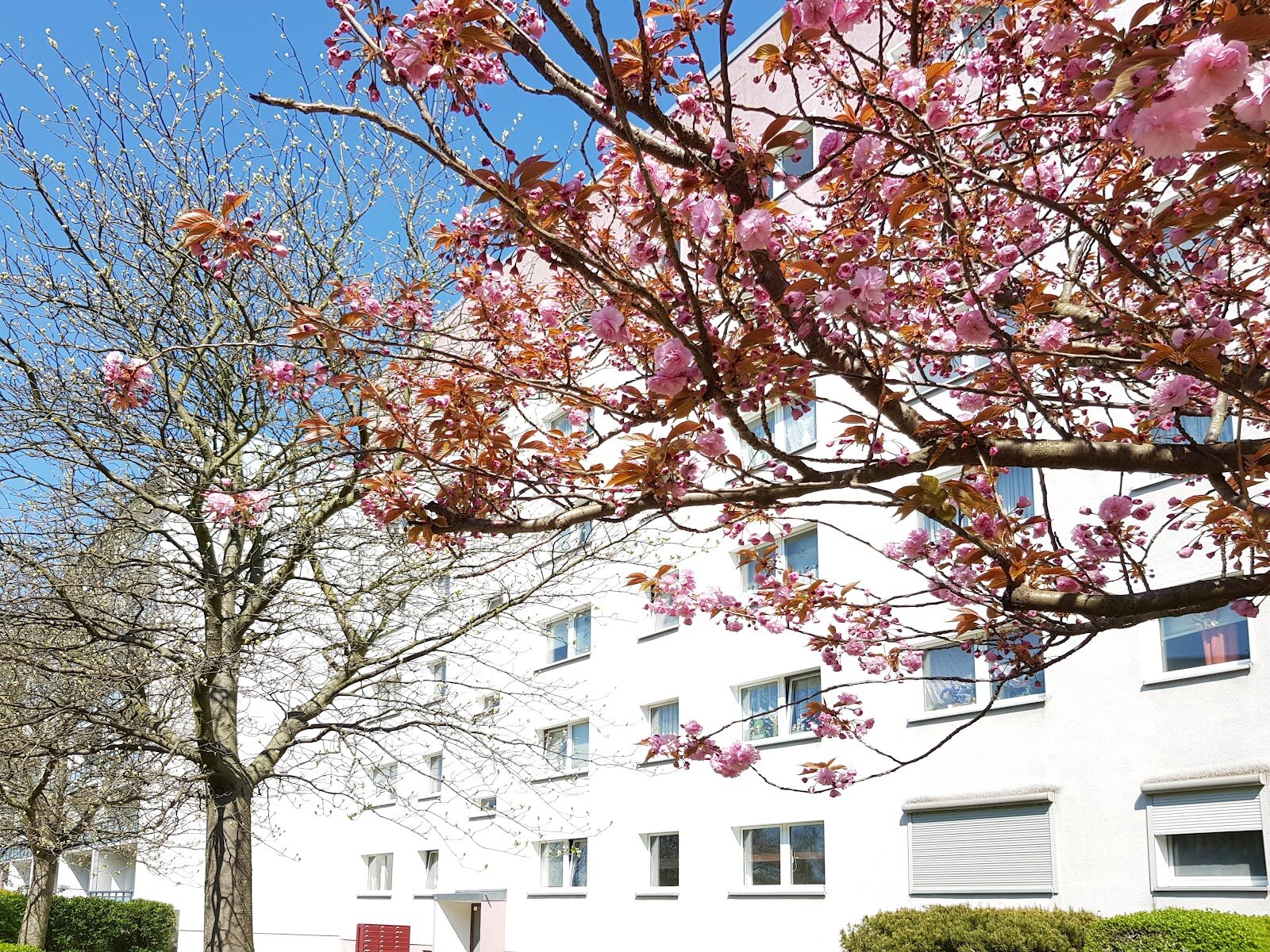 Jupiterstraße 27, 04205 Leipzig