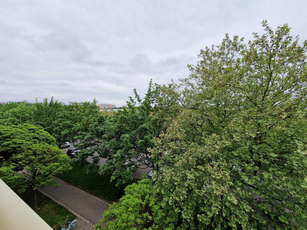 Wegastraße 6, 04205 Leipzig
