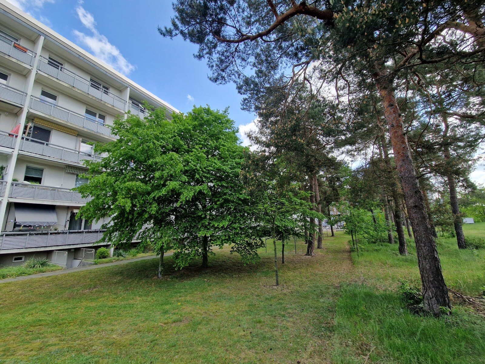 Anne-Frank-Straße 39, 03050 Cottbus