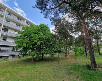 Anne-Frank-Straße 41, 03050 Cottbus
