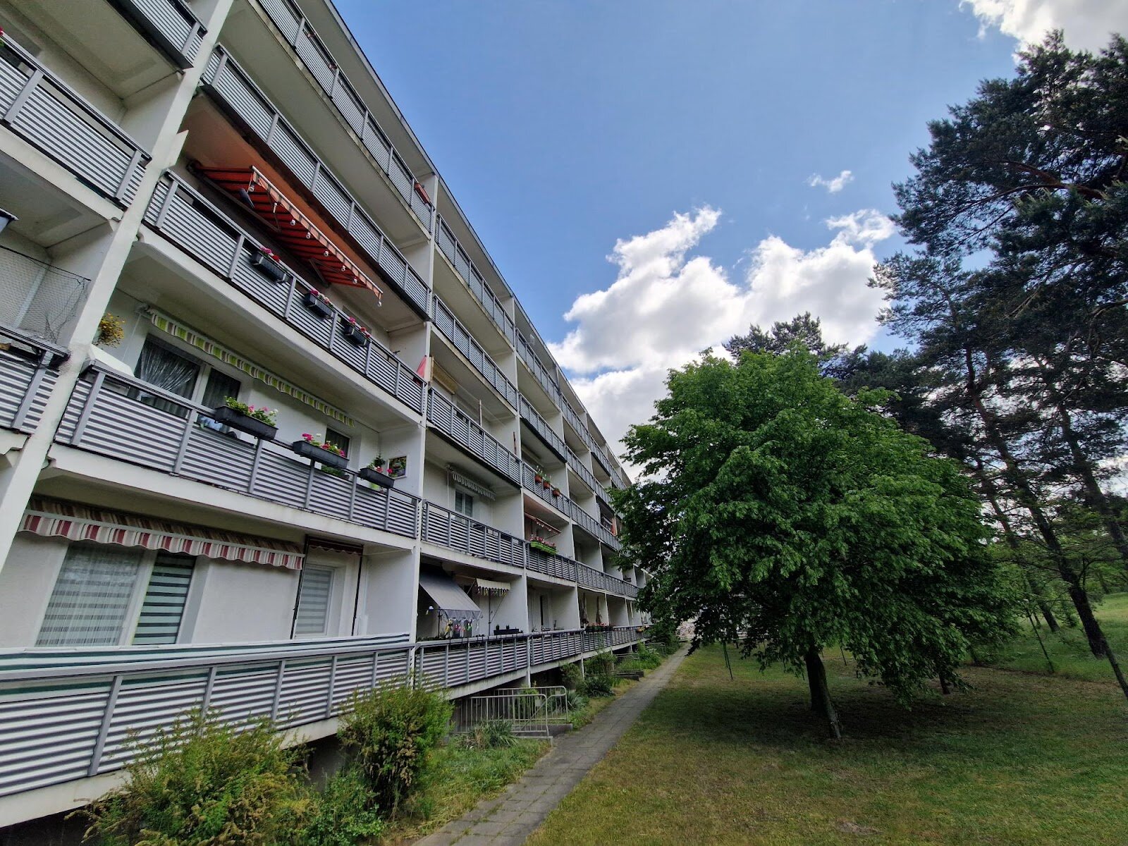 Anne-Frank-Straße 41, 03050 Cottbus