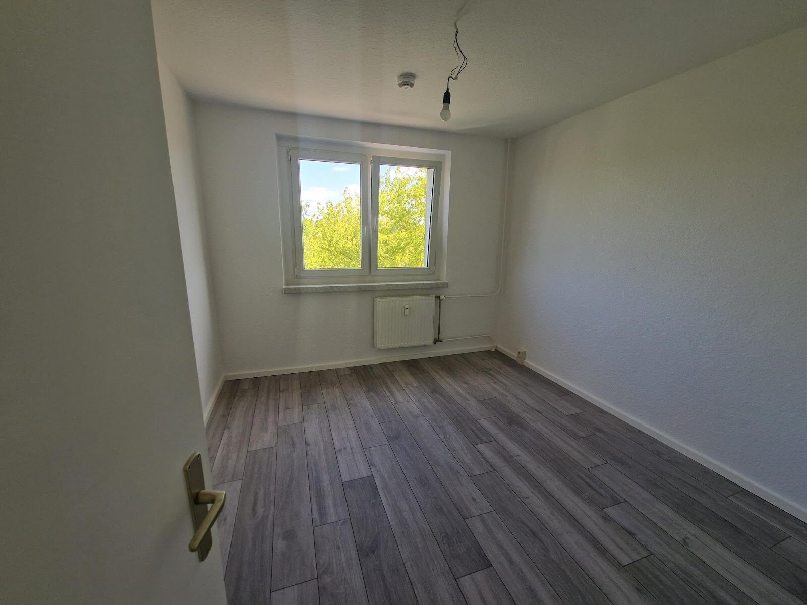 Anne-Frank-Straße 41, 03050 Cottbus