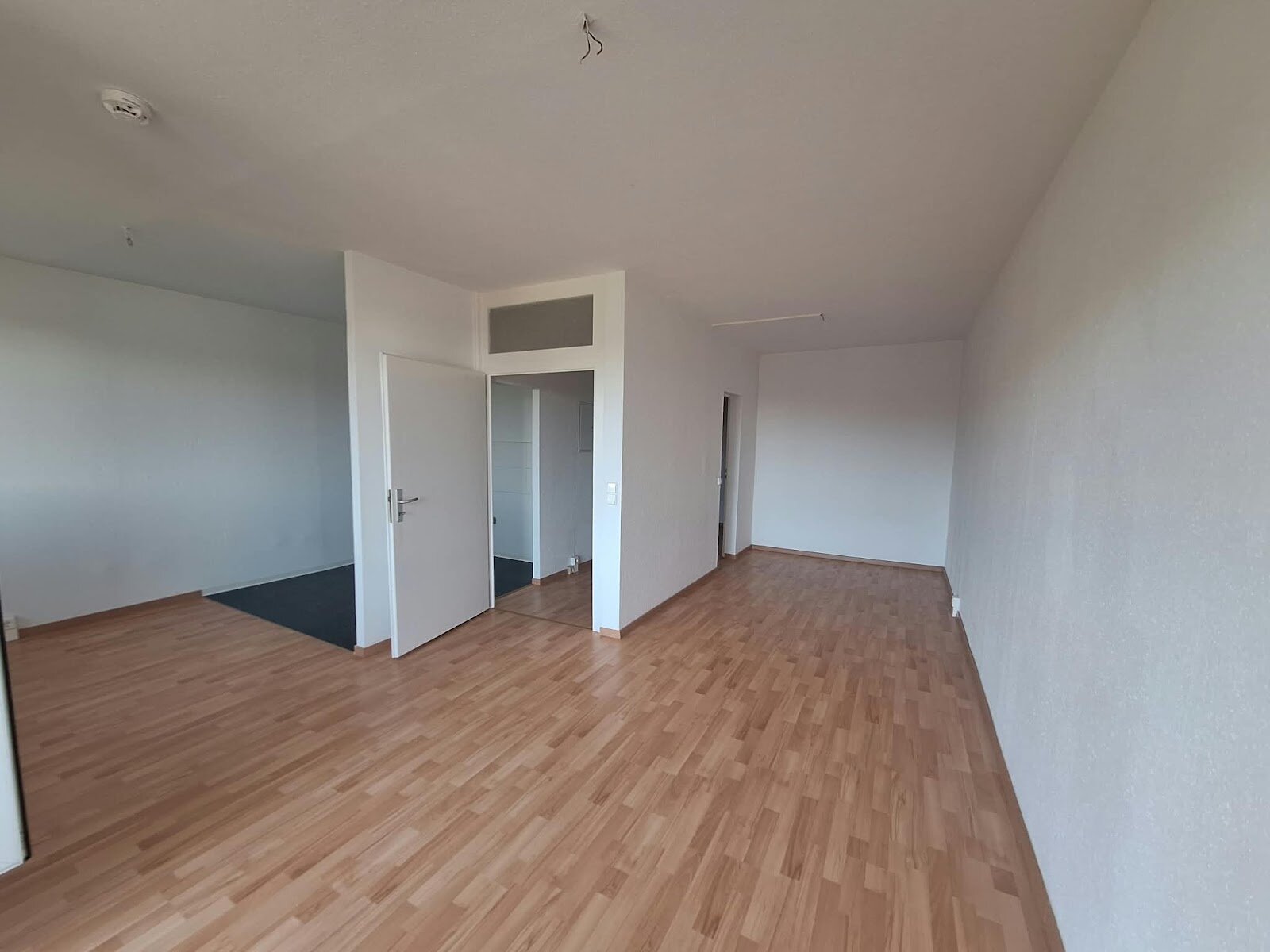 Anne-Frank-Straße 46, 03050 Cottbus