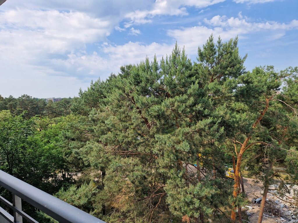 Herderstraße 62, 03050 Cottbus
