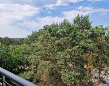 Herderstraße 62, 03050 Cottbus