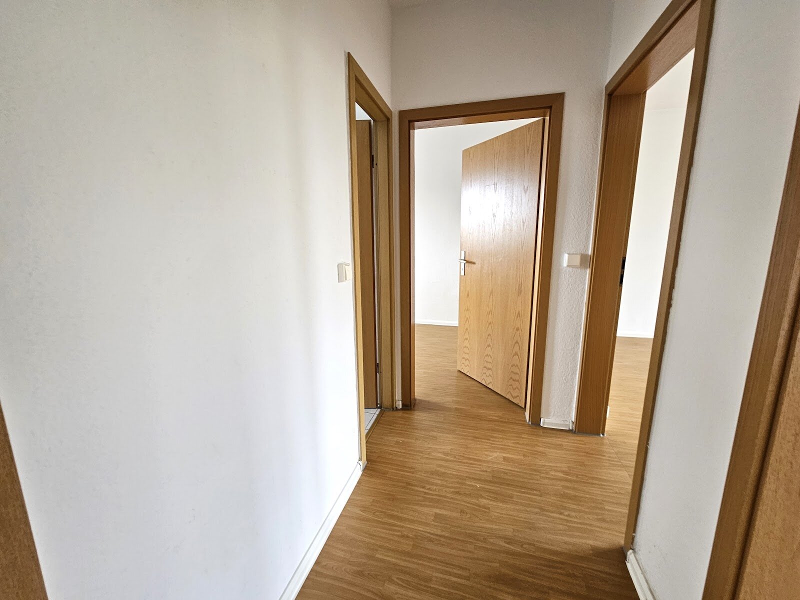 Philipp-von-Ladenberg-Straße 2, 06132 Halle (Saale)