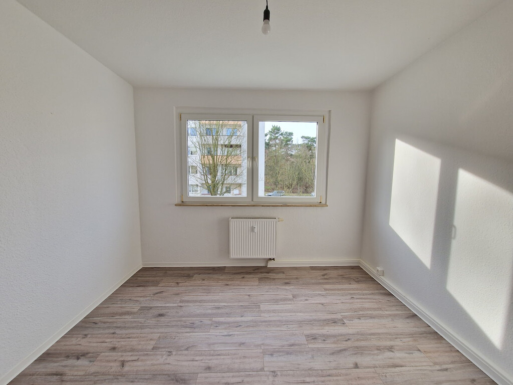 Birkenallee 3, 06862 Dessau-Roßlau