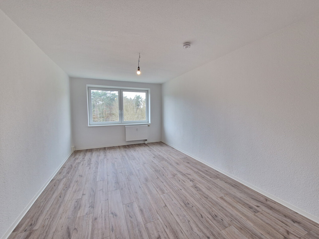 Birkenallee 13, 06862 Dessau-Roßlau