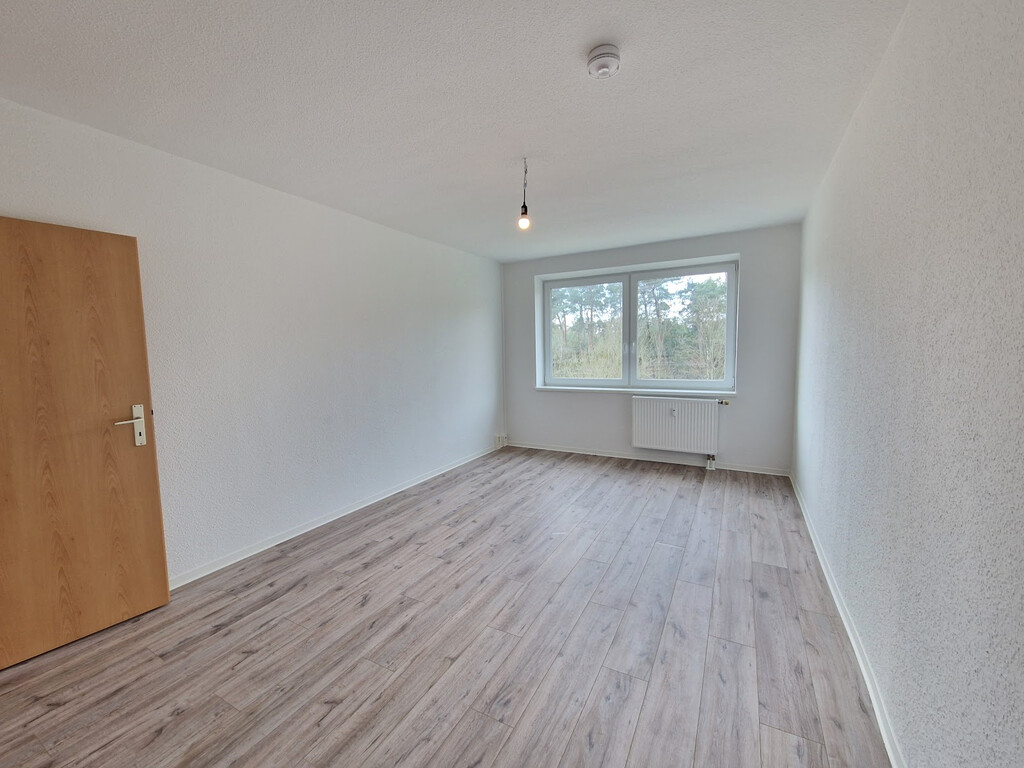 Birkenallee 13, 06862 Dessau-Roßlau
