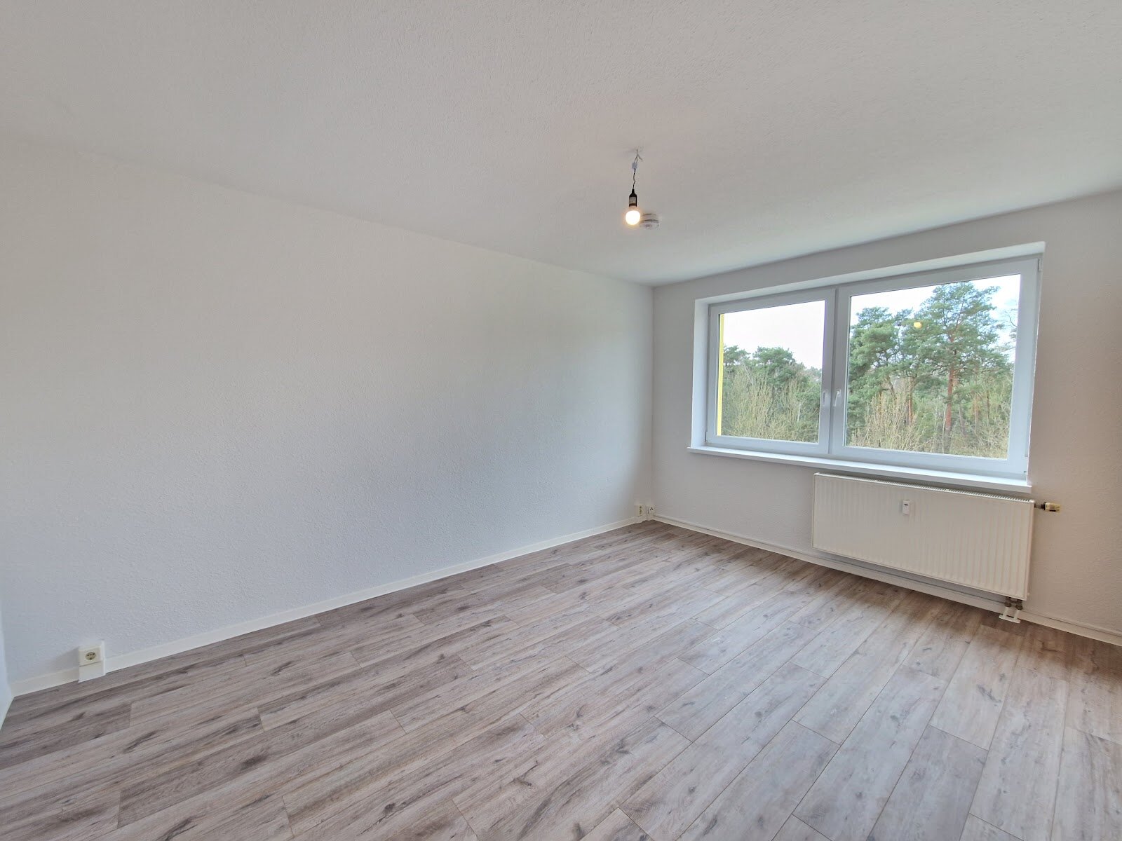 Birkenallee 13, 06862 Dessau-Roßlau