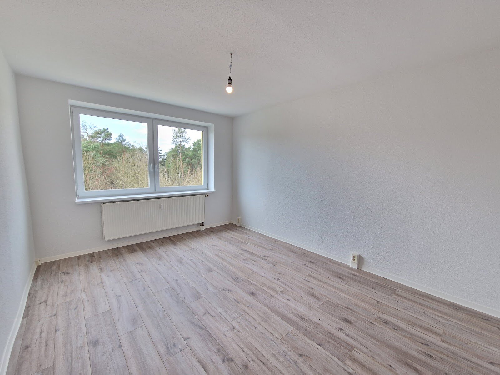 Birkenallee 13, 06862 Dessau-Roßlau