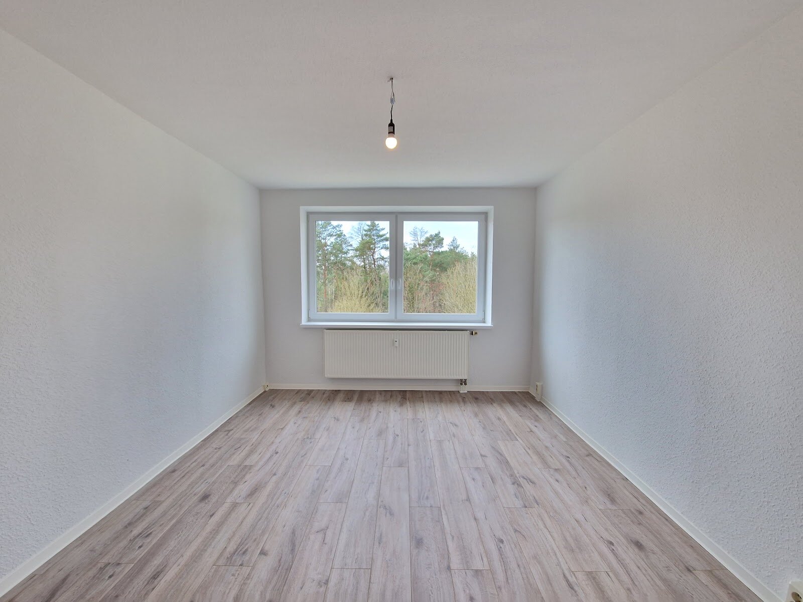 Birkenallee 13, 06862 Dessau-Roßlau