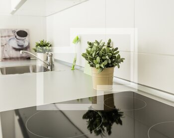 Birkenallee 13b, 06862 Dessau-Roßlau