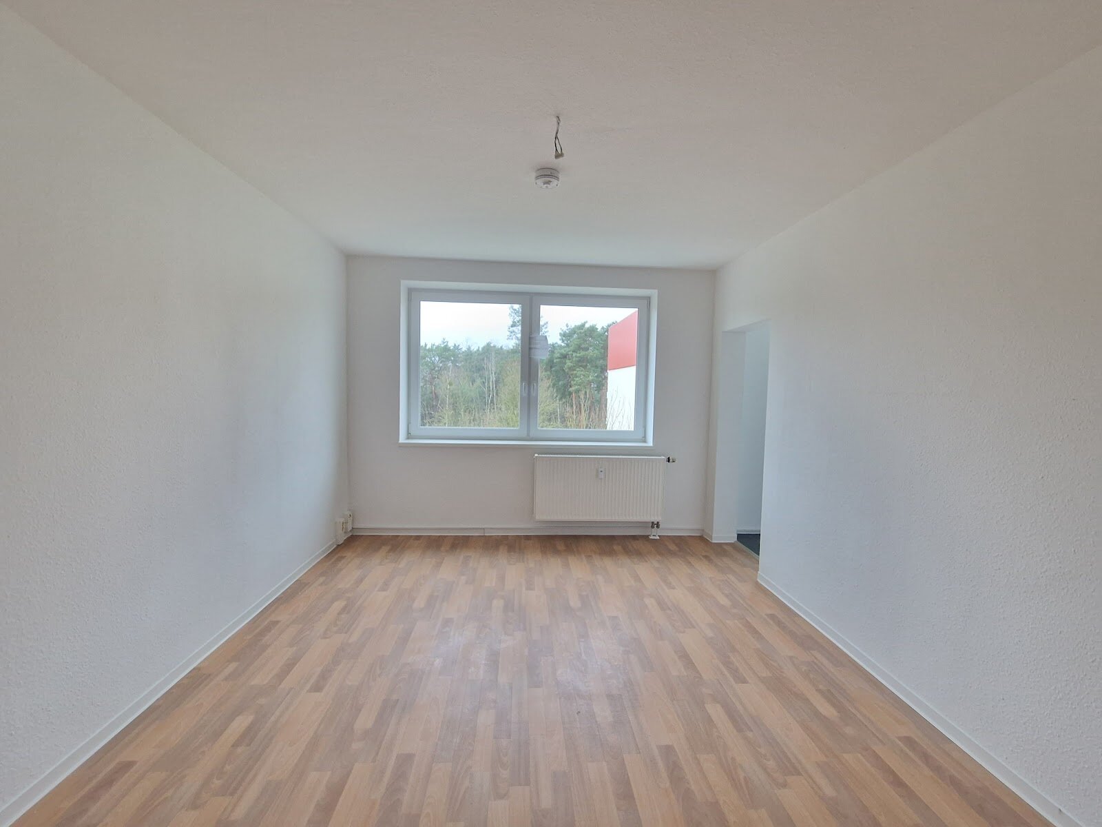 Birkenallee 13b, 06862 Dessau-Roßlau