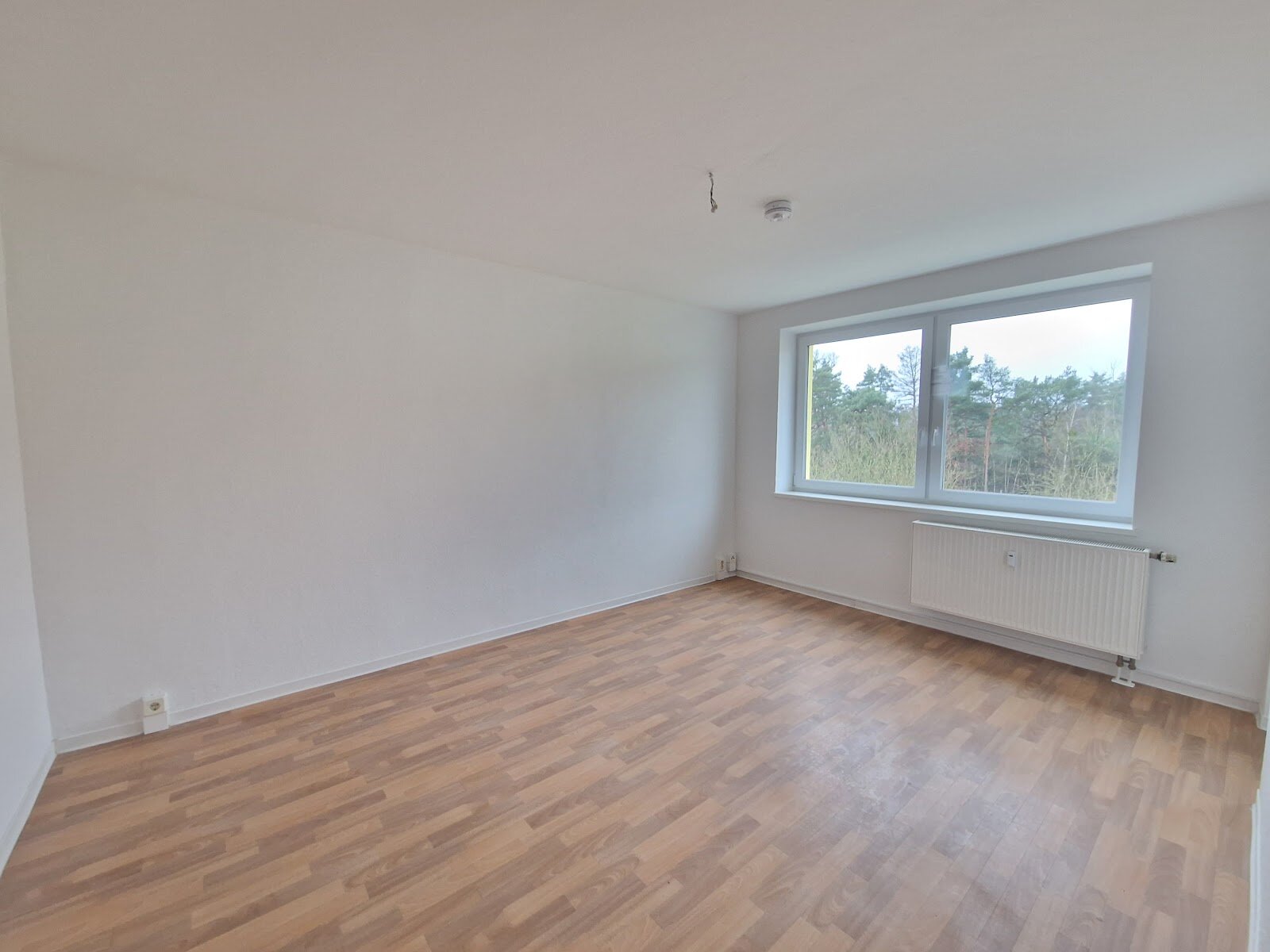 Birkenallee 13b, 06862 Dessau-Roßlau