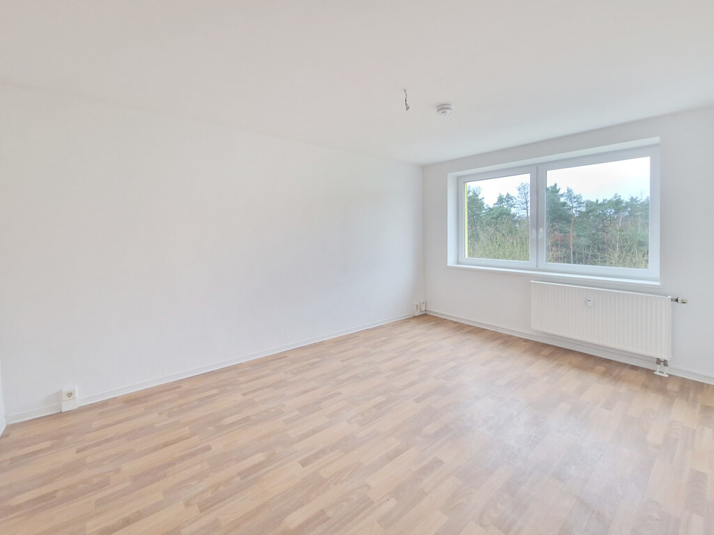 Birkenallee 13b, 06862 Dessau-Roßlau