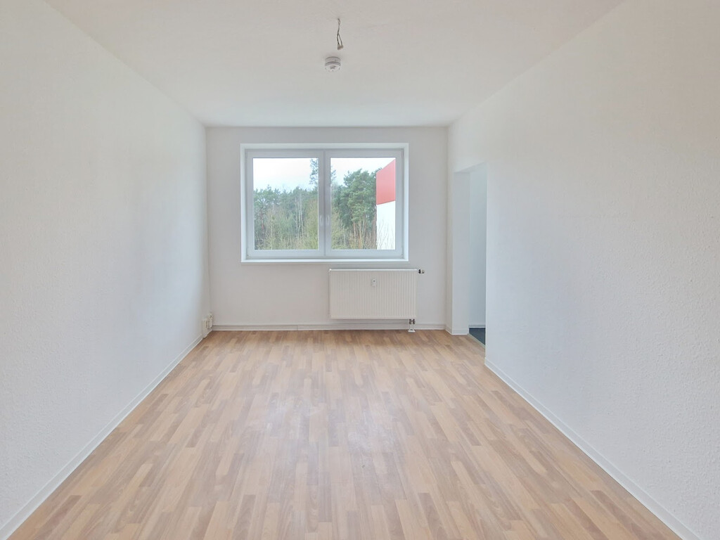 Birkenallee 13b, 06862 Dessau-Roßlau