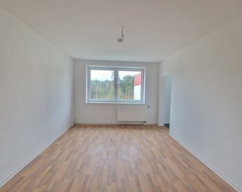 Birkenallee 13b, 06862 Dessau-Roßlau