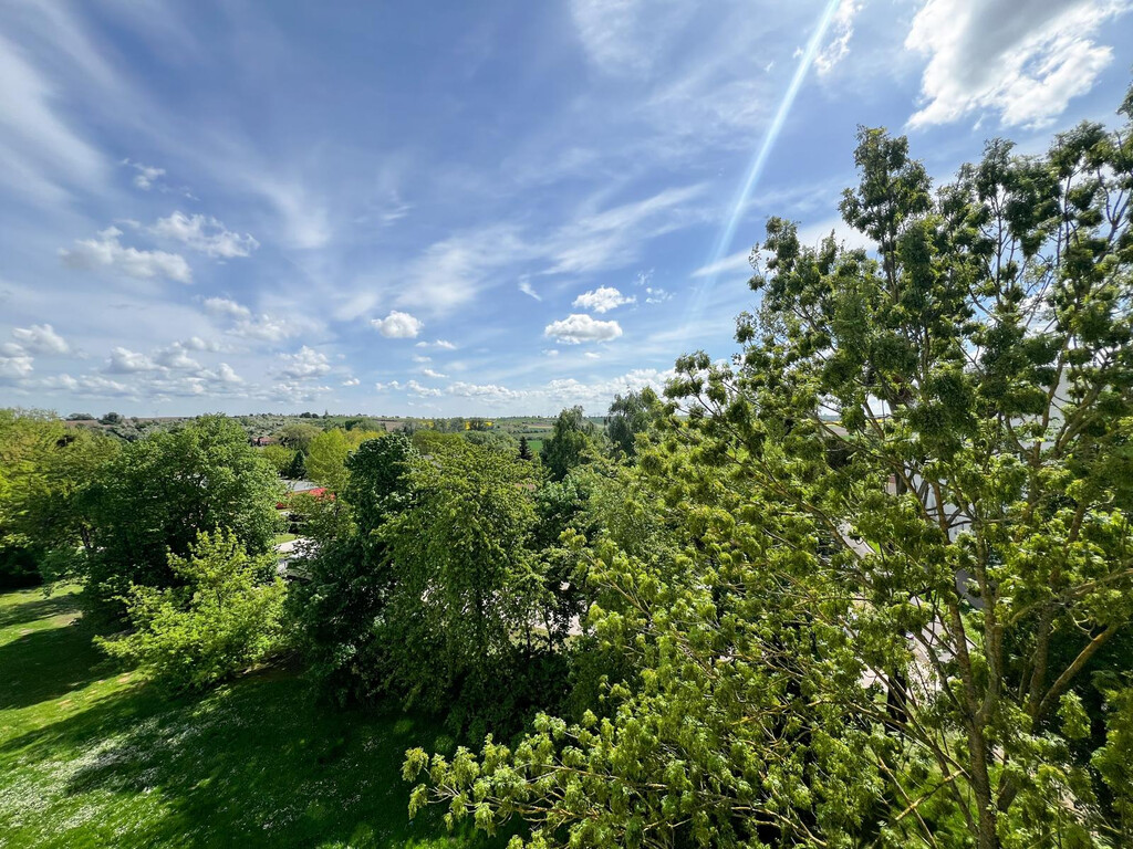 Thomas-Mann-Straße 22, 39365 Wefensleben
