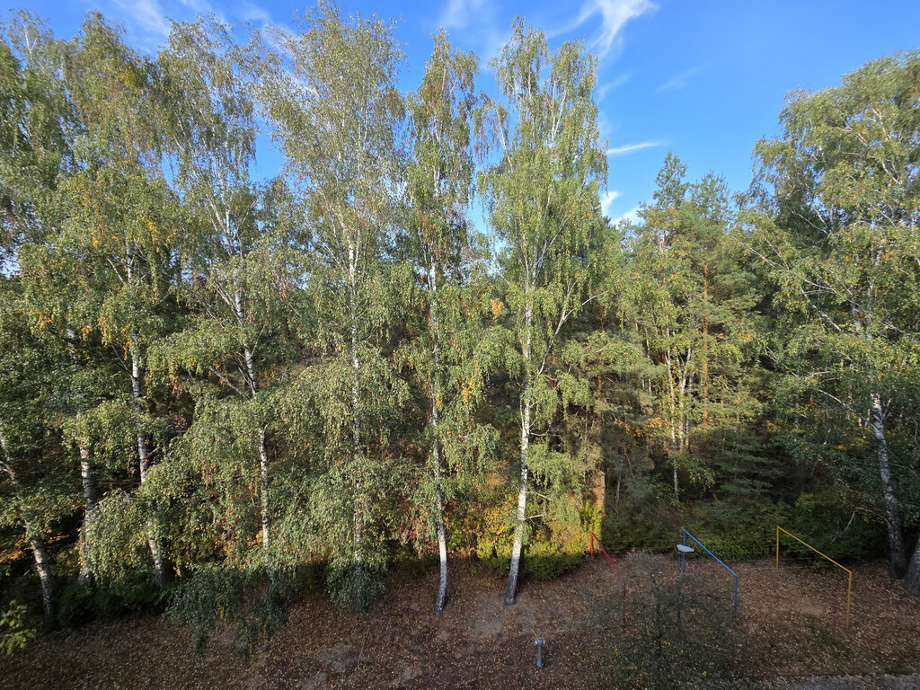 An den Kellerbergen 14, 39638 Gardelegen