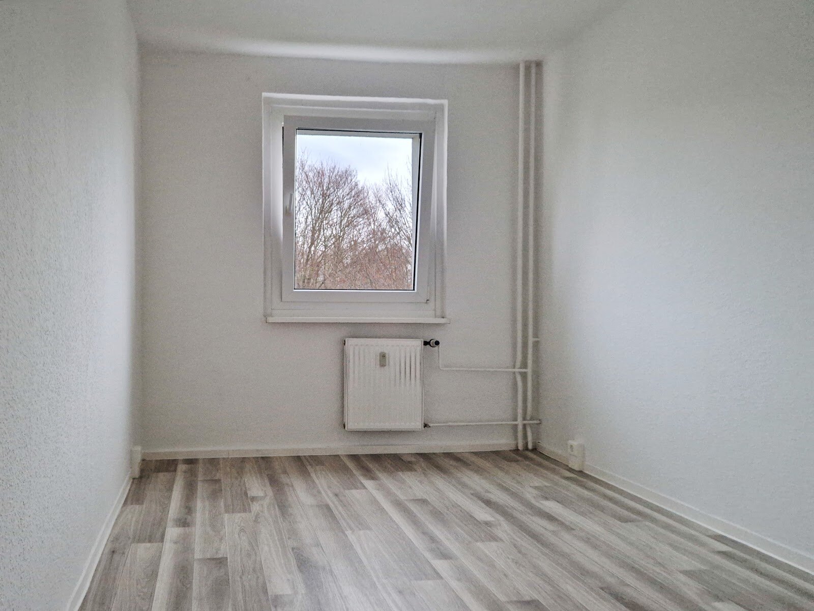Steigerstraße 14, 06295 Lutherstadt Eisleben