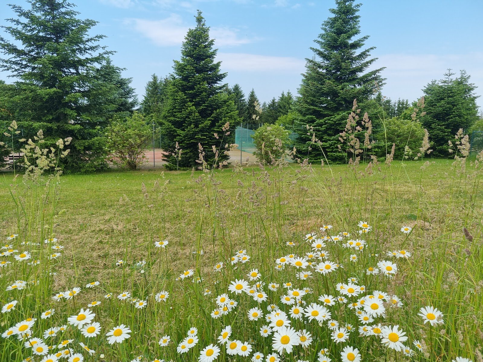 Rinderplatz 7, 06536 Südharz