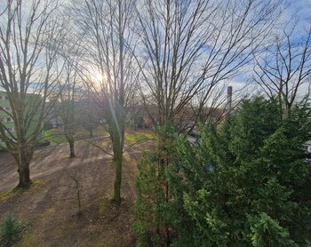 Pommernstraße 5, 45770 Marl