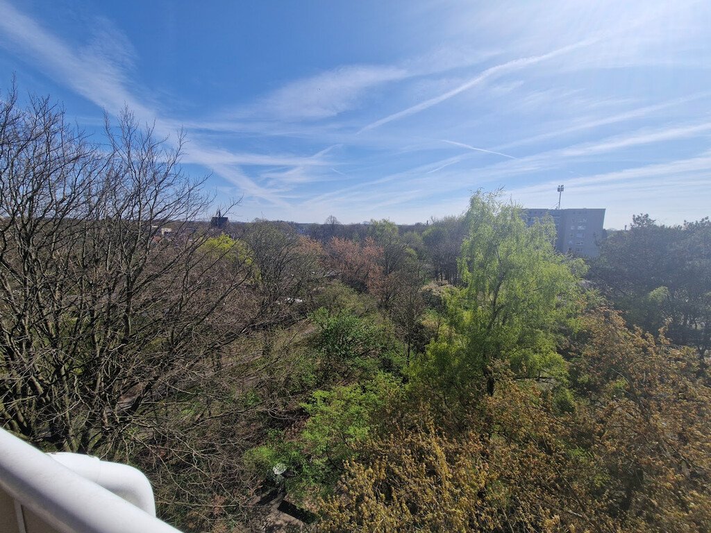 Am Alten Sportplatz 19, 45770 Marl