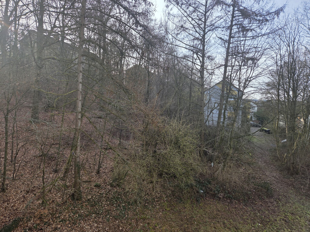 Erlhager Weg 20, 58791 Werdohl